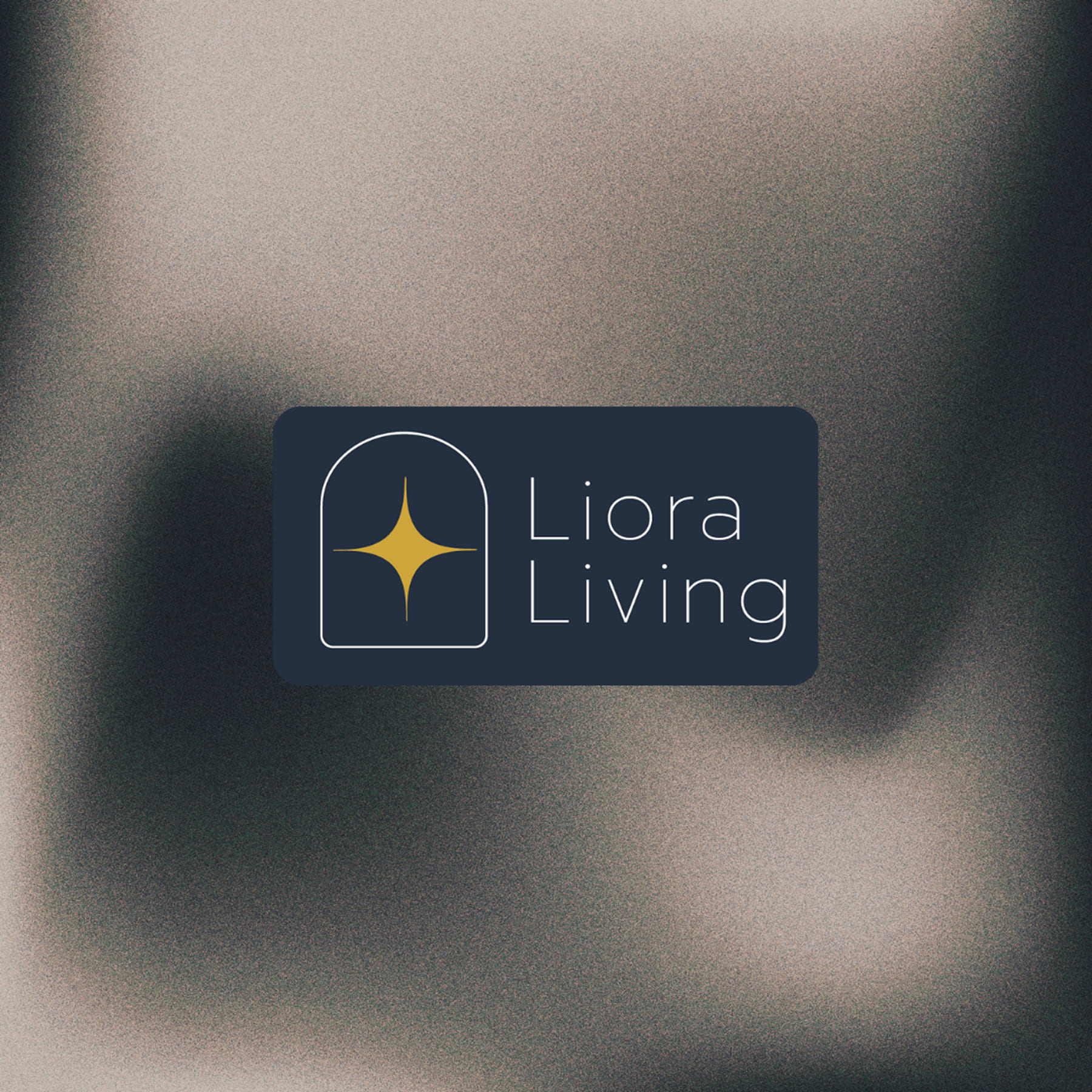 Liora Living project preview