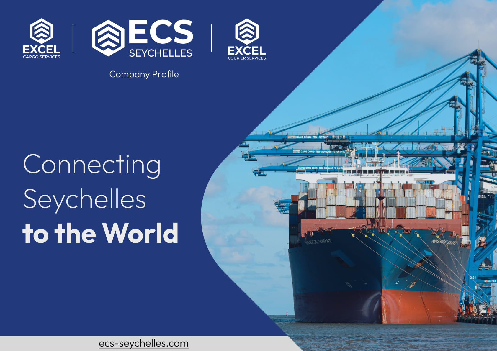 Company Brochure project preview